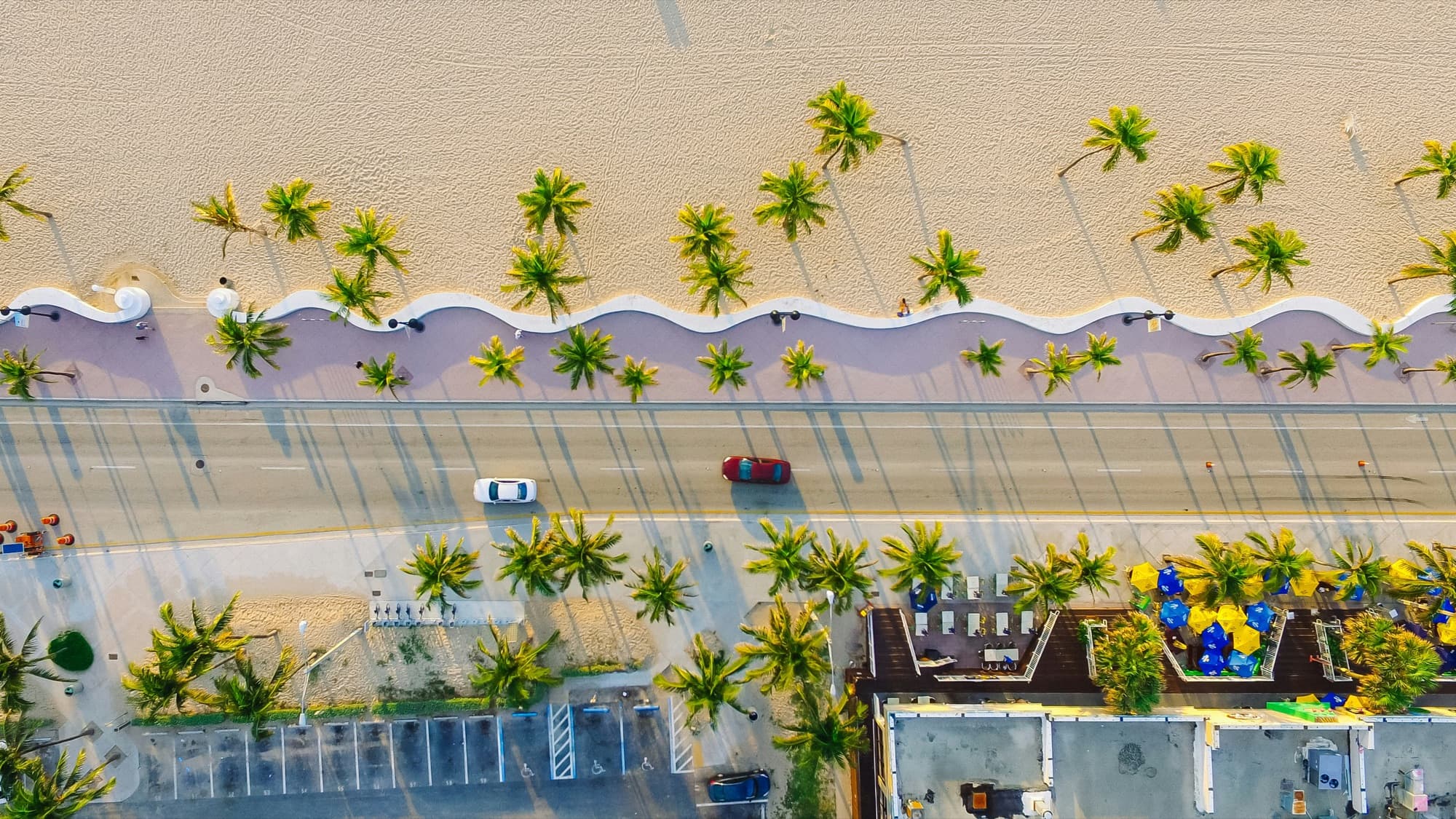 A palm-lined Florida boardwalk seen from above